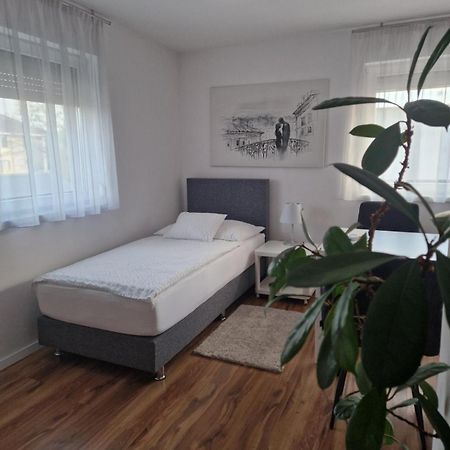 Nefelejcs Vendeghaz Otel Gödöllő Dış mekan fotoğraf