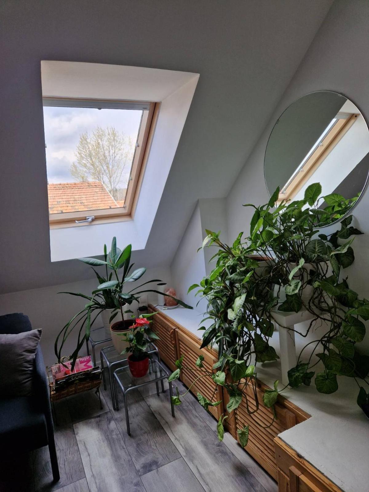 Nefelejcs Vendeghaz Otel Gödöllő Dış mekan fotoğraf