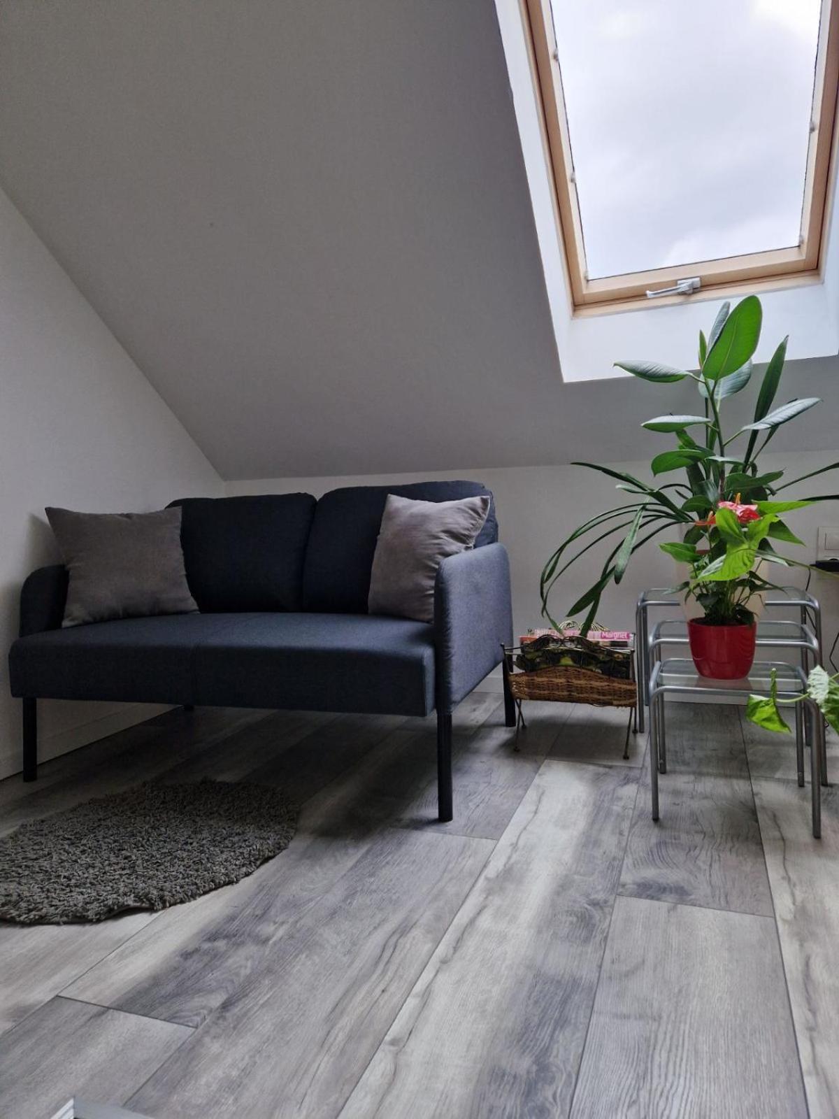 Nefelejcs Vendeghaz Otel Gödöllő Dış mekan fotoğraf