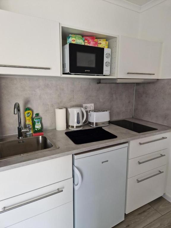 Nefelejcs Vendeghaz Otel Gödöllő Dış mekan fotoğraf